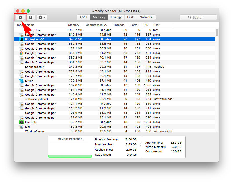 Activity Monitor on Mac